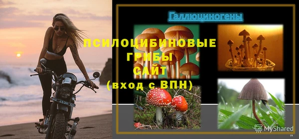 ГАЛЛЮЦИНОГЕННЫЕ ГРИБЫ Навашино