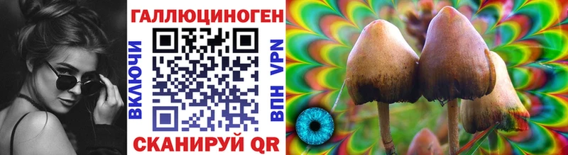 где купить наркоту  Холм  Галлюциногенные грибы Psilocybine cubensis 