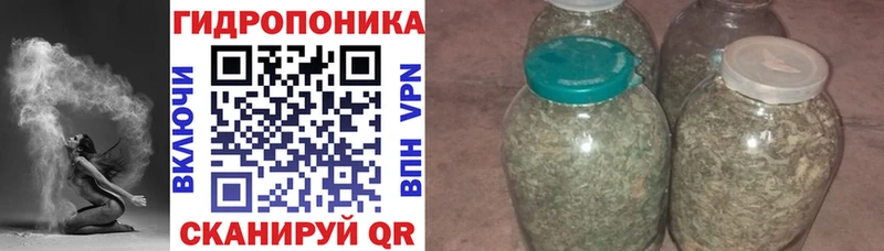 дарнет шоп  Холм  Бошки Шишки индика 